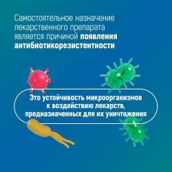 Неделя борьбы с антимикробной резистентностью (в честь Всемирной недели повышения осведомленности о проблеме устойчивости к противомикробным препаратам) с 17 по 23 ноября 2025 года - Фотогалерея